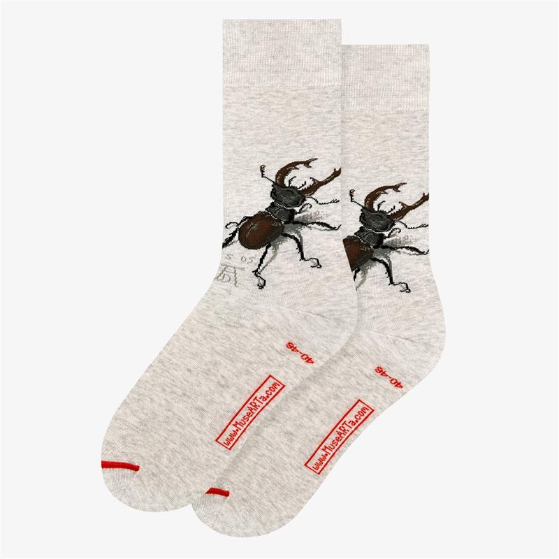 Albrecht Dürer - Stag Beetle