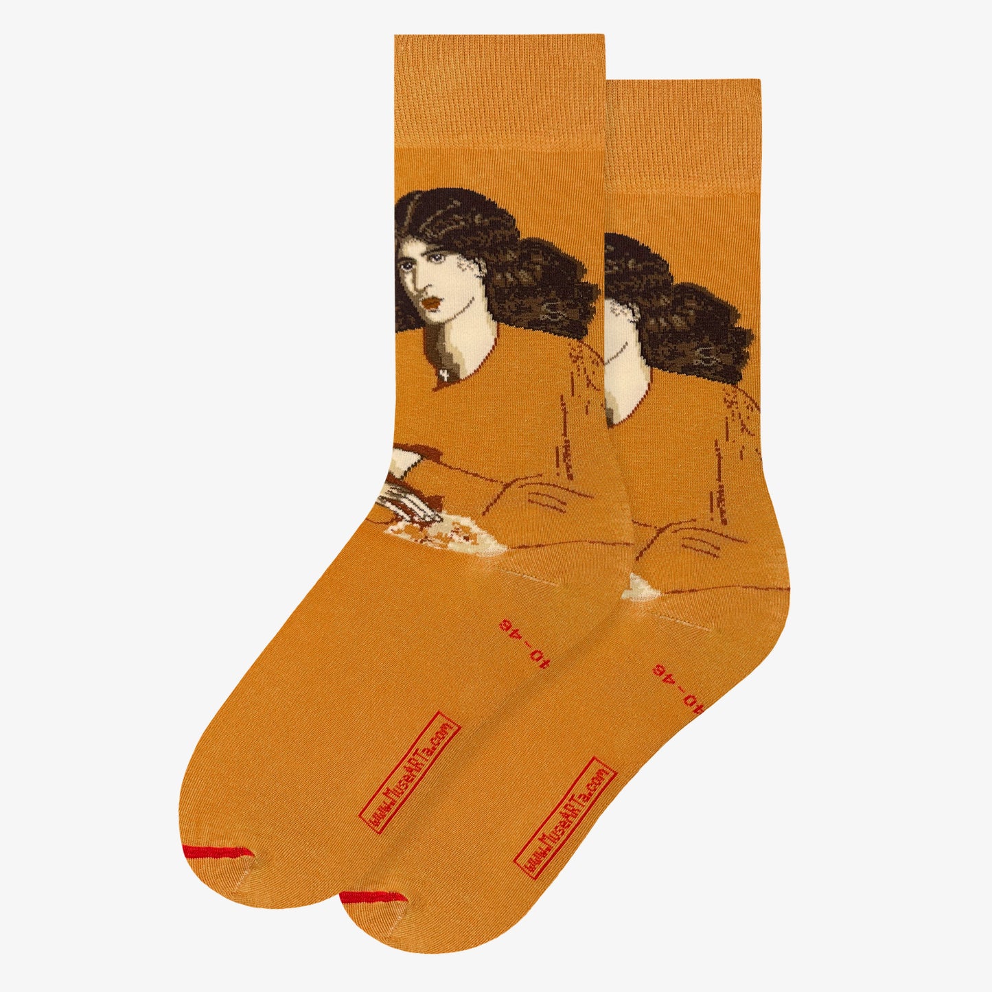 Dante Gabriel Rossetti - Die Dame des Mitleids