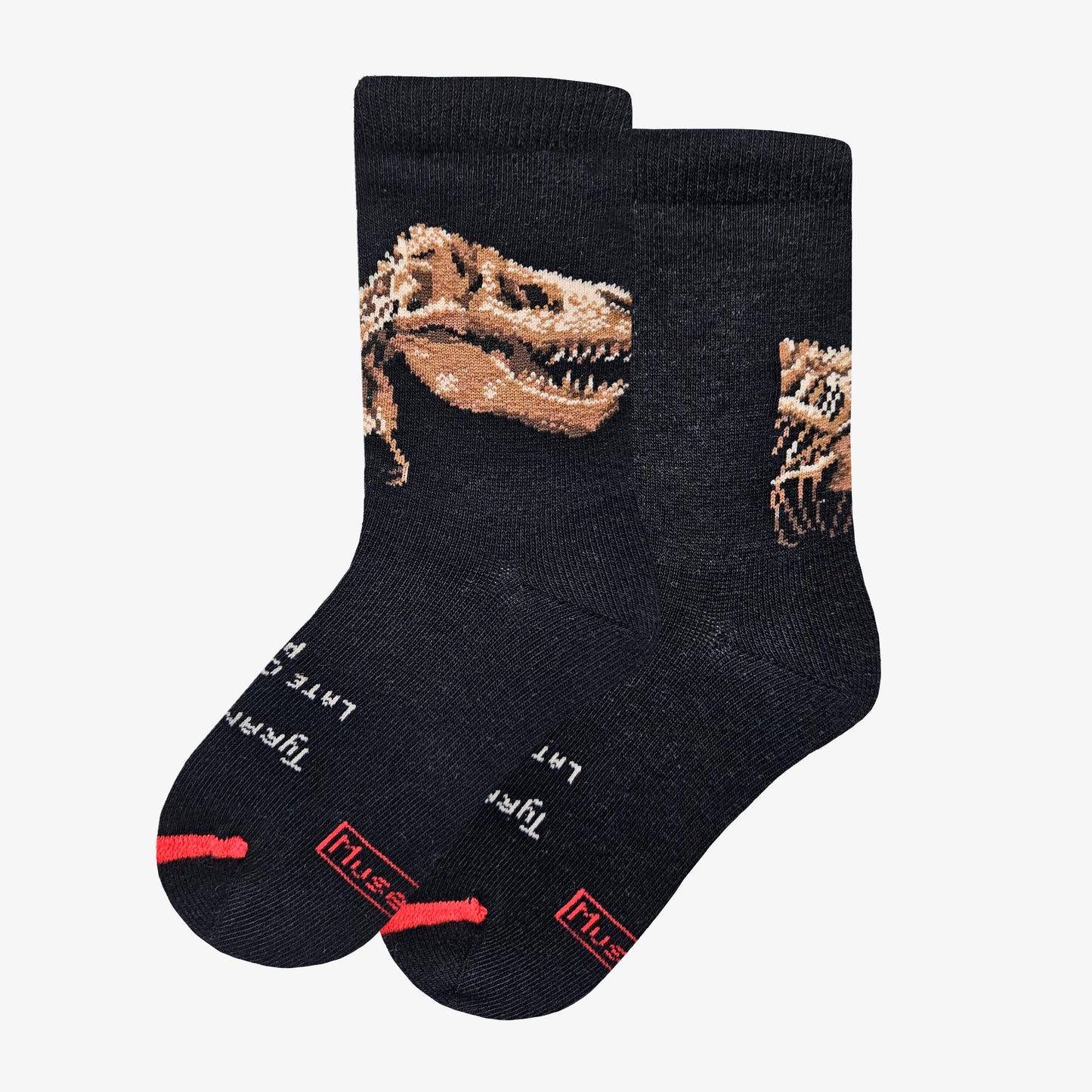 Dinosaurs - Tyrannosaurus rex 2