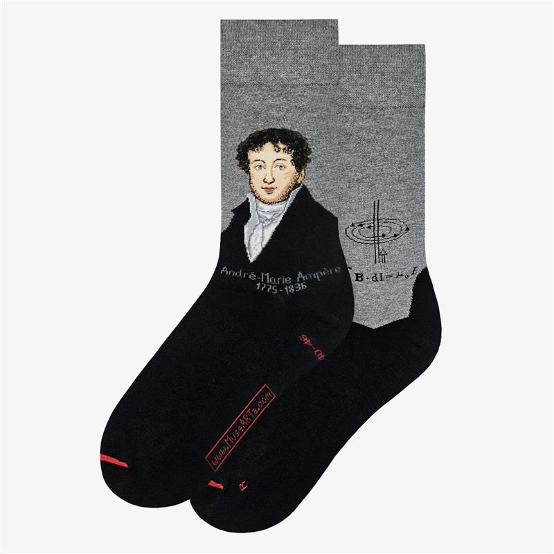 Science & History - André Marie Ampère