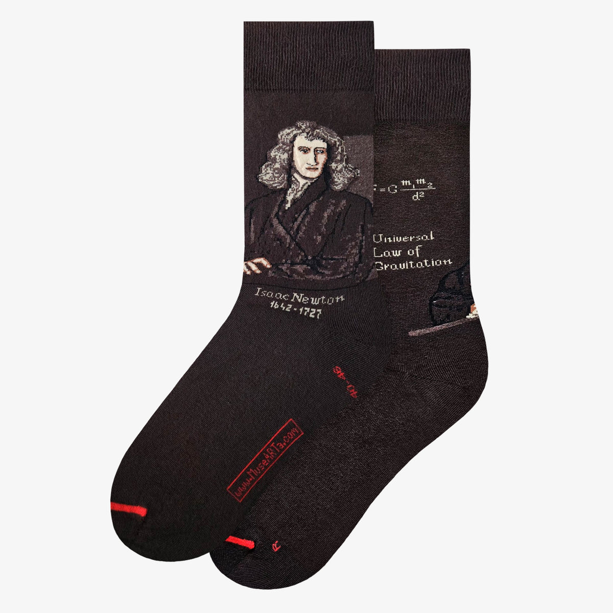 Adultes – Science et Histoire - Isaac Newton