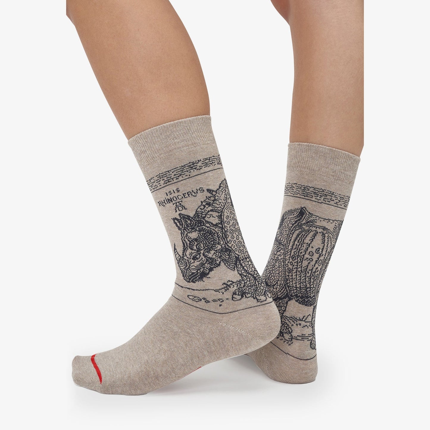 Albrecht Dürer - Rhinozerus